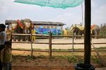 新動物園.jpg