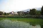 IMGP0799.jpg